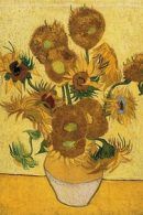 Rondleiding van Gogh Museum Amsterdam met gids
